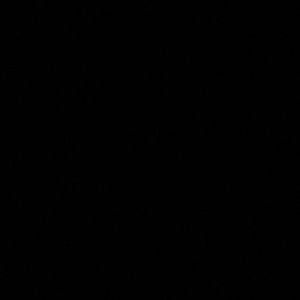 Meet your Posher, Camerin